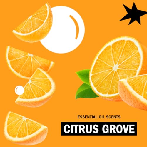 Molly's Suds Original Laundry Detergent Powder - Natural Washing Powder, Earth Derived Powder Detergent, Non-Liquid Organic Washing Detergent, Sensitive Skin Laundry Detergent - 120 Loads,Citrus Grove - Image 7