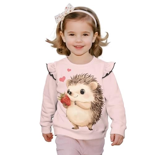 DISNIMO Girls Sweatshirt Kids Toddler Crewneck Sweatshirts Long Sleeve Shirts Fall Clothes Outfit Ruffle Pullover