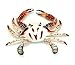 Hand Painted Crab Beach Tiki Bar Wall Mount Decor 6" Dot