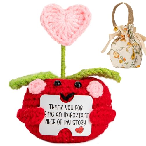 Valentines Day Gifts-Mini Positive Apple Crochet with Card-Handmade Crochet Gifts for Women & Teacher,Emotional Support,Funny Unique Cute Presents for Her,Him,Students Women Friends,Coworkers & Family