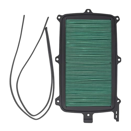 Filtre à air de rechange pour moto Talon 1000 - Finies les pertes de puissance