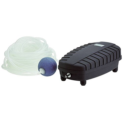 OASE 50532 AquaOxy 240 Pompe de Bassin