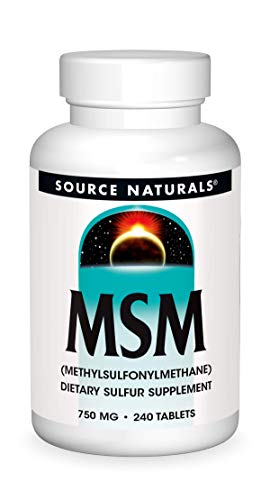 Source Naturals MSM (methylsulfonylmethane), 750mg, 240 Tablets
