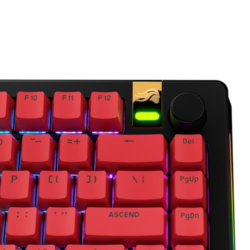 Image of GLORIOUS Gaming - GPBT Basics (PBT Keycaps), Revive Red, No Fade Dye-Sublimated, for Custom Mechanical Keyboards, Fits 100%, 75% 65% 60%, Fits ANSI & ISO, Supports Windows & macOS - English (US)