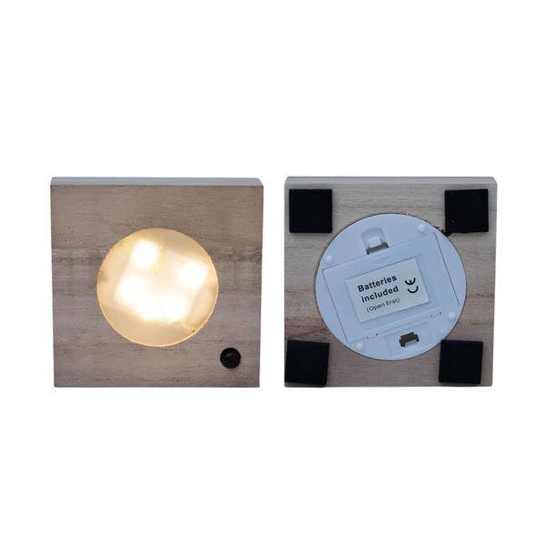 Clusia Roślina hydroponiczna w szkle Samoa z oświetleniem LED – Ø 4 cm × 10 cm – zielona dekoracja liści do wnętrz – łatwa w pielęgnacji i na bazie wody
