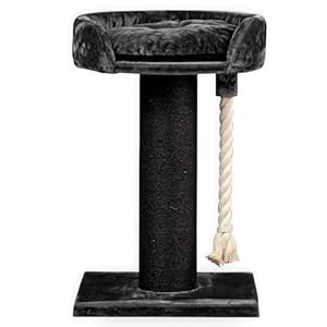 RHRQuality Kratzbaum Chartreux Blackline