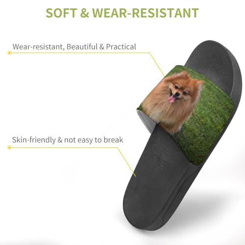 Pomeranian Dog Shower Slippers for Women Men Casual Non-Slip Slide Sandals Beach Bathroom Shoes3
