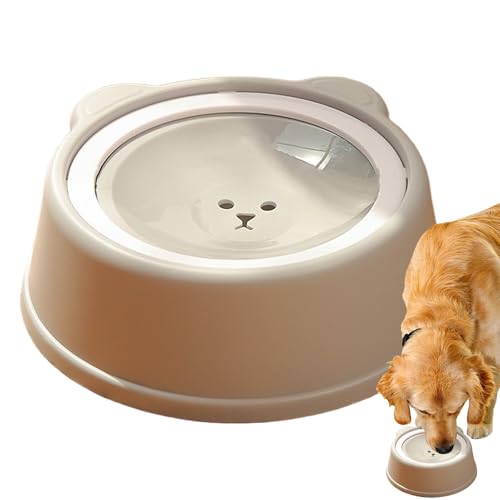 Distributeur flottant pour eau avec écuelle anti-débordement chats