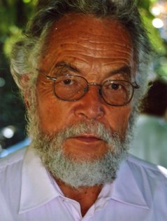 Amazon | Lossy Transmission Lines (Artech House Microwave Library