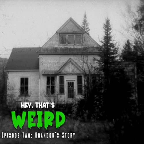 Episode Two: Brandon's Story cover art