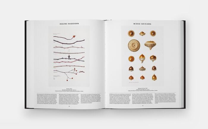 Plant: Exploring the Botanical World, Compact Format (Spanish Edition)