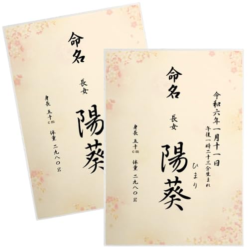  畿  Ƃ̑ccɂ I[_[  j̎qp ̎qp A4 ~l[g N o  AogȄd ڏȗ (2)