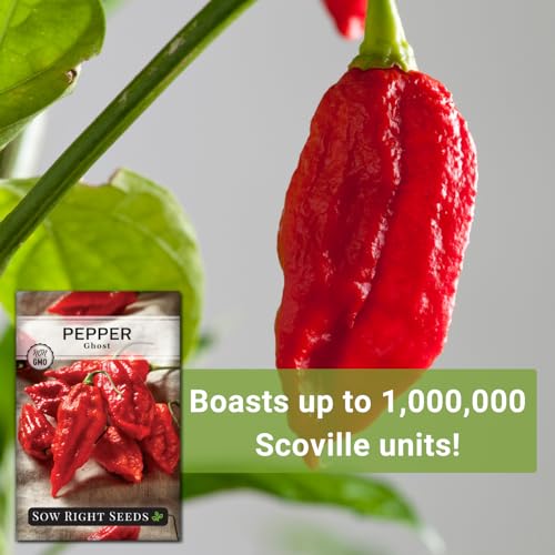 Sow Right Seeds - Ghost Pepper Seeds for Planting - Extra Hot Non-GMO Heirloom Peppers - Ideal for Indoor or Outdoor Gardens - Grow Your Own Hottest Pepper Plants - High Scoville Rating (1) - Image 5
