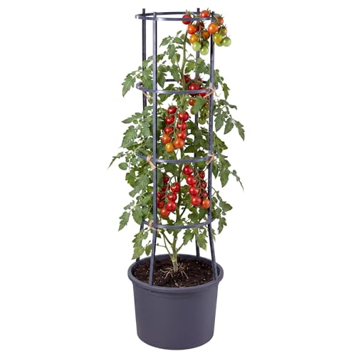 GEEZY Tomato Planter Pot with 4-Tier Trellis for Climbing Vine Plants