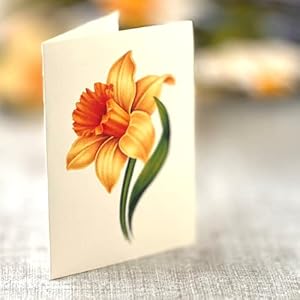 Freshcut Paper Pop Up Cards, English Daffodils 12 inch Paper Flower Bouquet Greeting Cards with Blank Note Card & Envelope, Birthday Gifts for Women Freshcut Paper Pop Up Cards English Daffodils 12 inch Paper Flower Bouquet Greeting Cards with Blank Note Card Envelope Birthday Gifts for Women
