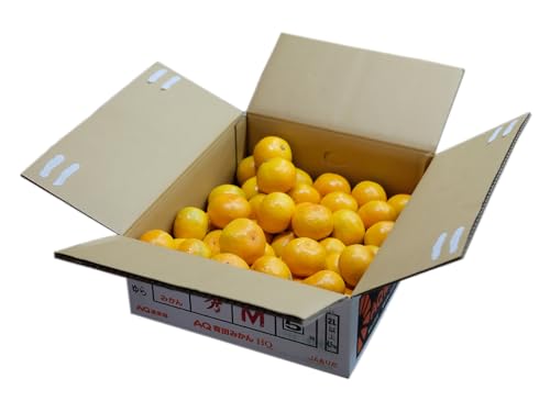 和歌山県産 有田みかん ゆら早生 秀品 S?Mサイズ 5kg (箱) AQみかん