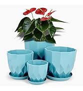 Vodotion Plastic Flower Pots, 8.3/7.1/5.9/4.3 inch Nursery Plant Pot with Drainage Holes and Hole...
