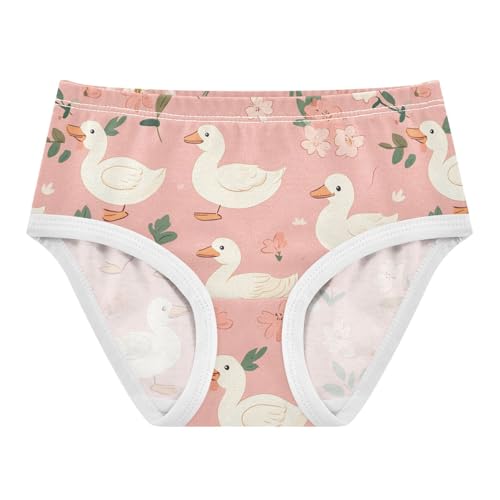Wusikd Flowers Pink Girls' Underwear Cotton White Ducks Girls Briefs Soft Toddler Underwear 2T
