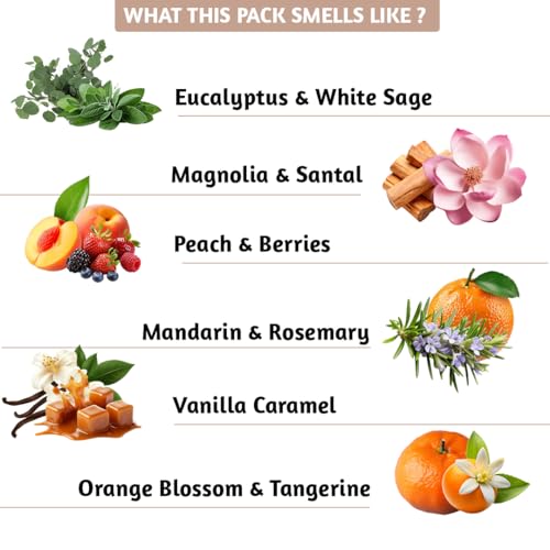 Folkulture Incense Sticks (240Sticks) | Pack of 12 Premium Incense For Yoga, Meditation, Aromatherapy | No Charcoal, Organic, Non Toxic, 45 Mins, Long Burning Palo Santo, Sandalwood, Insence-Sticks - Image 5