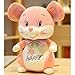 Ycco Mini sveglia del giocattolo della peluche zodiacale 2020 anno del ratto del costume della mascotte di fortuna Kawaii Mice denaro Animali bambola Figurine peluche Giocattoli Huggable cuscino di ti
