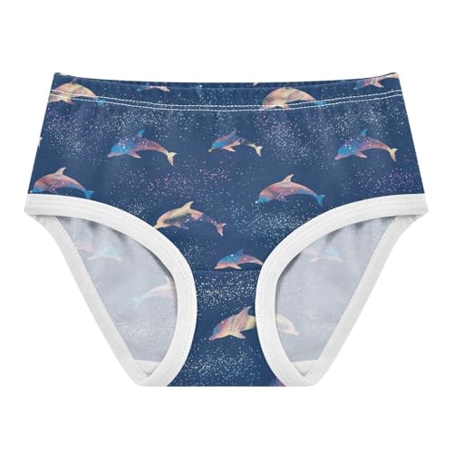 Girls Underwear Soft Cotton Dolphin Sky Galaxy Kids Panties in Sizes 2/3t, 4t, 5t, 6 and 8