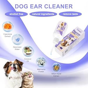 Dog ear cleaner  dog ear inflammation therapy can itch relief soothe ear inflammation removes wax odor with 10 cotton swabs 4 fl oz   cucciolini doodles