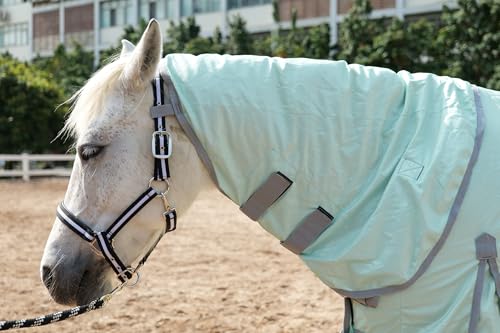 Image of LEAFOREST Horse Mesh Combo Fly Sheet with Adjustable Belly Guard and Detachable Neck Cover Lightweight and Breathable Protect Equines Green 81 inch