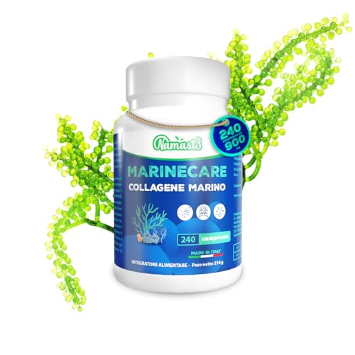 Namast3 Collagene Marino con Acido Ialuronico 240 Compresse da 2500 mg di Collagene Idrolizzato, Collagene Integratore con Biotina, Vitamina C, Coenzima Q10 Collagene e Acido Ialuronico Made in Italy
