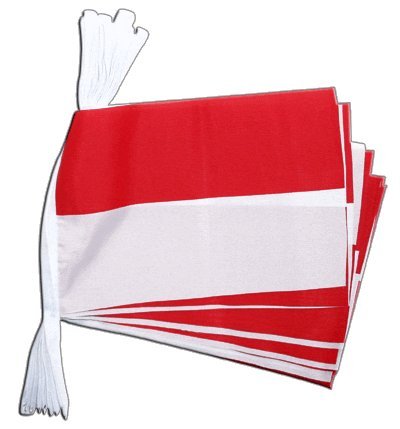 Guirlande Drapeau Indonésie de 5,9 m avec pavillons indonésiens pour décoration de fête