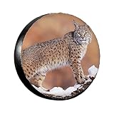 Praktische Installation: Kommt mit einem Nylonseil und Karabiner, so dass Sie es leicht installieren und entfernen können. Verstellbare Größe, flexibel für verschiedene Reifengrößen, keine Notwendigkeit für umständliche Werkzeuge, schnell die Installation abzuschließen, spart Zeit und Mühe.