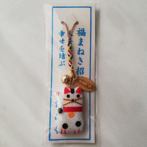 J^ L  t  Xgbv L[z_[ J^ L