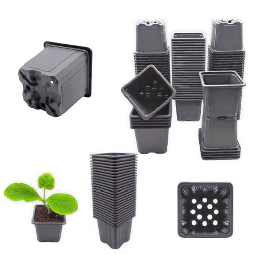 Verdonia 40 Godets Plastique 8cm pour Semis, Repiquage, Bouturage Réutilisables et Résistants - Pots Pratiques avec Trous de Drainage – Pot en Plastique...