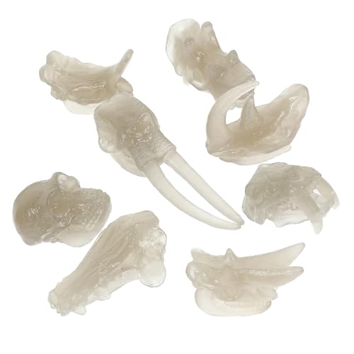 BESPORTBLE Cráneo de Dinosaurio Luminoso para Niños Tamaño Compacto, Modelo de Hueso Fosilizado Brillante, Juguete Educativo para Decoración de Escritorio y Juegos Creativos Set