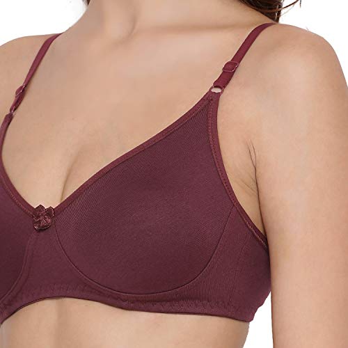 Image of Lyra Women's Cotton Non Padded Wire Free T Shirt Bra