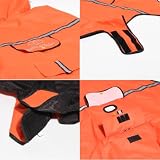 Bella & Balu Hunderegenmantel wasserdicht mit Kapuze und Reflektoren für sichere Gassigänge, Hundespielplatz und Urlaub (L, Orange)
