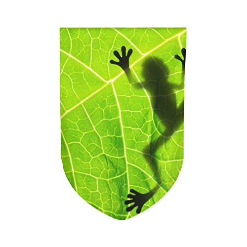 Drapeau de jardin double face avec motif grenouille résistant aux intempéries - 6