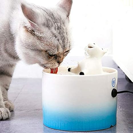 automatic water dish for cats