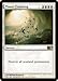 Magic: the Gathering - Planar Cleansing (26) - Magic 2013