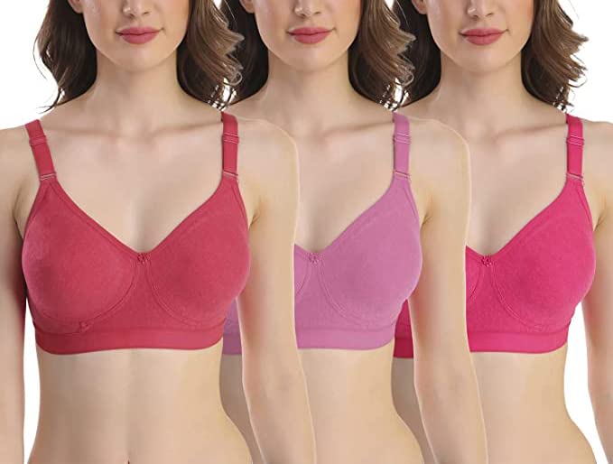 Image of SKDREAMS Blue & Brown & Purple-32D Cotton Blend Seamless Non Padded Non-Wired Full Coverage Pack of 3 Women T-Shirt Bra Combo