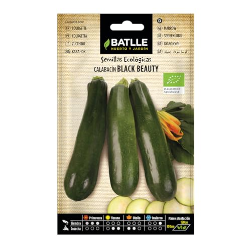 Beauté noire aux courgettes - ÉCO