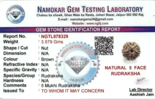 Image of Siddha 5 / Five Mukhi Pure Rudraksha, Laboratory Certified.
