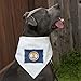 GRAPHICS & MORE Rustic Virginia State Flag Distressed USA Dog Pet Bandana