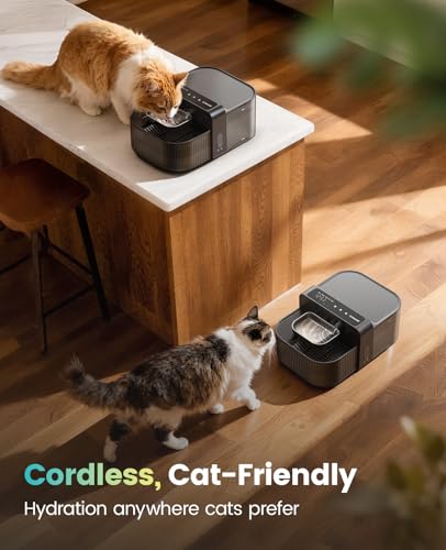oneisall Wireless Filterless Cat Water Fountain, Separate Clean and Dirty Water Pet Founta product