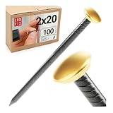 Chiodi per quadri muro 2x20 mm, 100 pezzi, Ø6 mm, acciaio testa dorata, chiodini cartongesso muro gesso, immagini da parete, chiodi compensato, appendi quadro per mattone legno Lun Fix