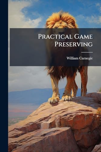 Practical Game Preserving