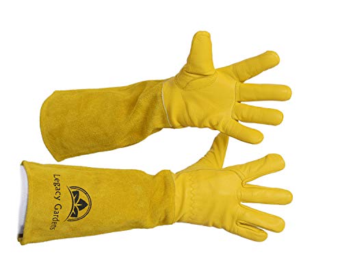 Legacy Gardens Protective Gloves For Women & Men | Thorn And Cut Proof Garden Work Gloves Suitable For Thorny Bushes Cacti Rose Pruning - Xl Yellow #TOP1