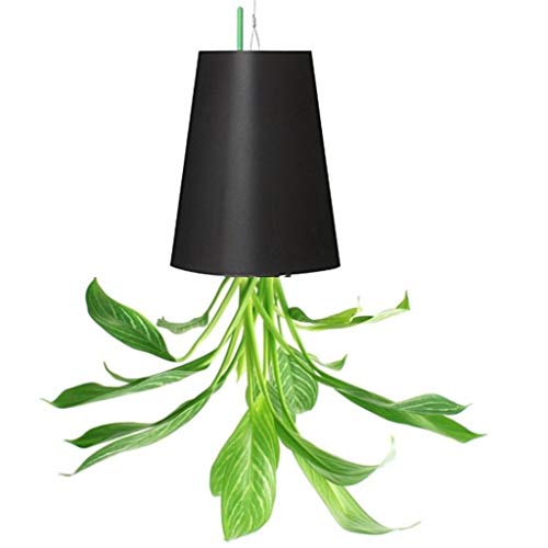 POAO Pot de Fleurs Suspendu Large Noir