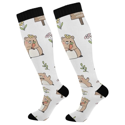 Dussdil Groundhog Day Spring Floral Compression Socks for Women Men Christmas Circulation Long Knee Socks for Winter Warm Stockings Socks
