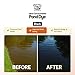 Bjornsen Pond Management Ultra-Concentrated Black Pond Dye - 1 qt. Liquid (12 qt. Pack)