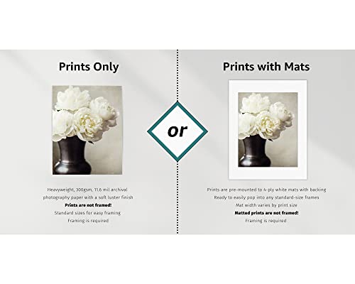 Lisa Russo Fine Art - Black and White Modern Farmhouse Wall Decor Rustic Landscape Photographs - Barn, Fence, Hay, Windmill - Set of 4 - Not Framed (4 5x7 Prints Only)